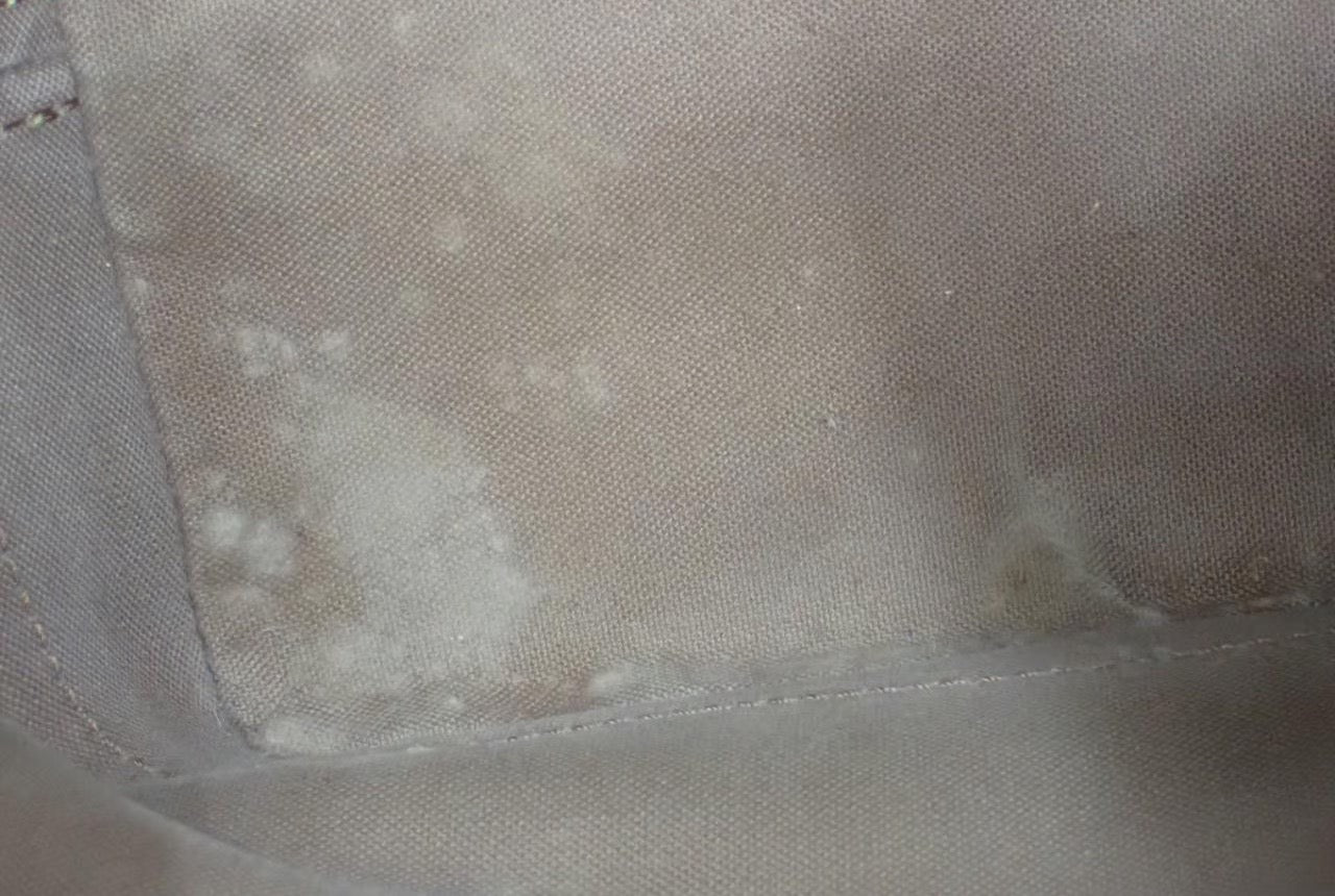 Louis Vuitton Noé taske