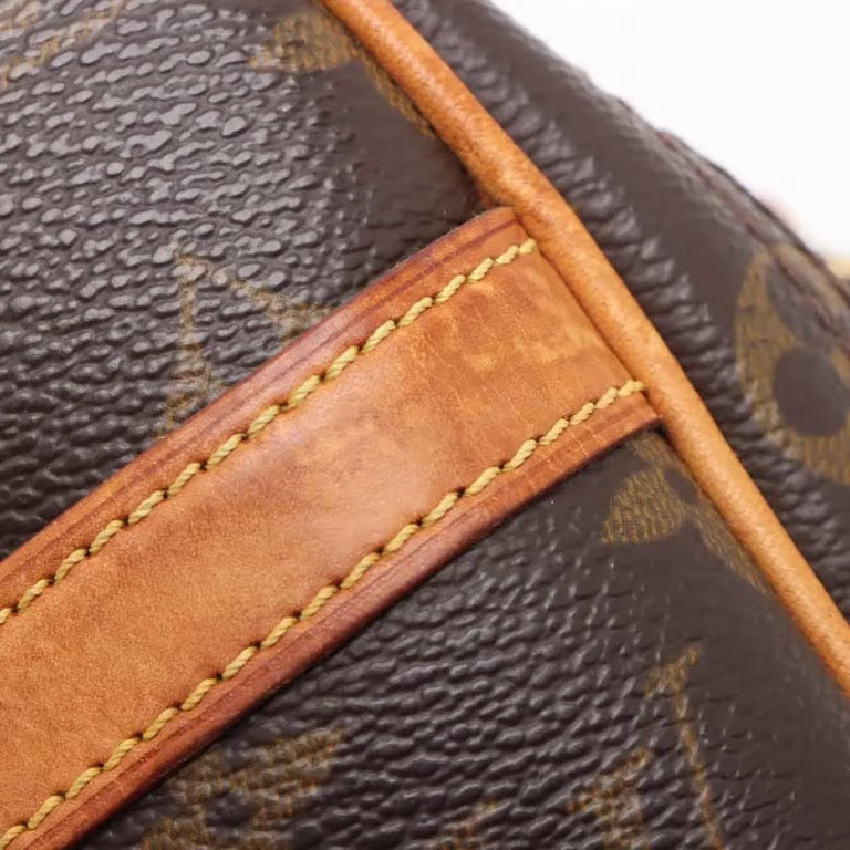 Louis Vuitton Reporter taske