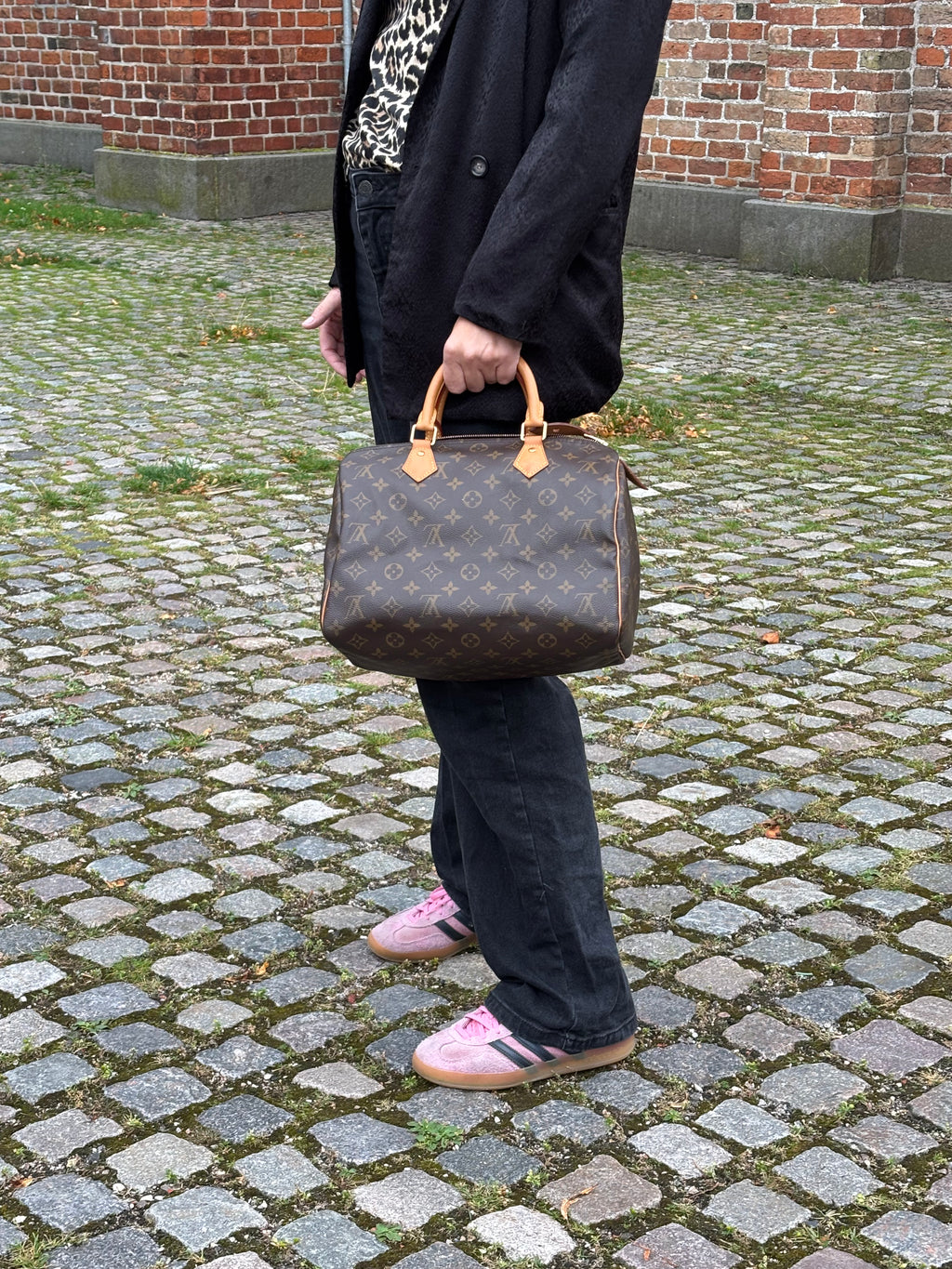 Louis Vuitton Speedy 30