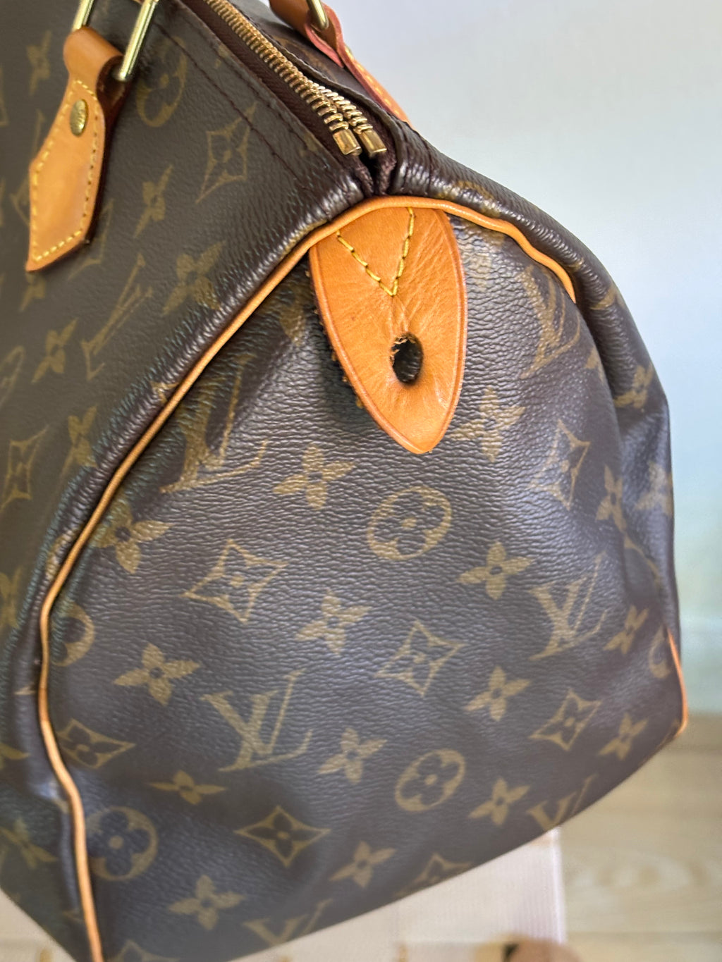 Louis Vuitton Speedy 30