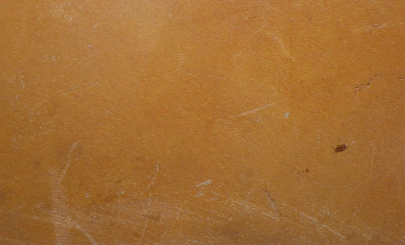 Louis Vuitton Noé taske